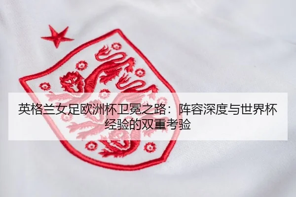 ying-ge-lan-nv-zu-ou-zhou-bei-wei-mian-zhi-lu-zhen-rong-shen-du-yu-shi-jie-bei-jing-yan-de-shuang-chong-kao-yan-2-377.jpg