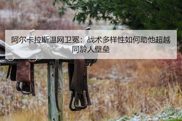 a-er-ka-la-si-wen-wang-wei-mian-zhan-shu-duo-yang-xing-ru-he-zhu-ta-chao-yue-tong-ling-ren-bi-lei-2-444.jpg