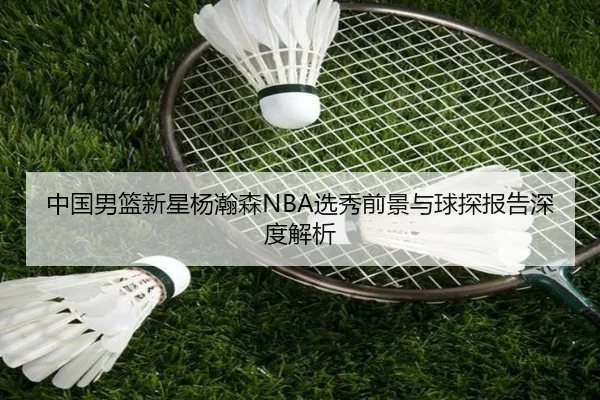 中国男篮新星杨瀚森NBA选秀前景与球探报告深度解析