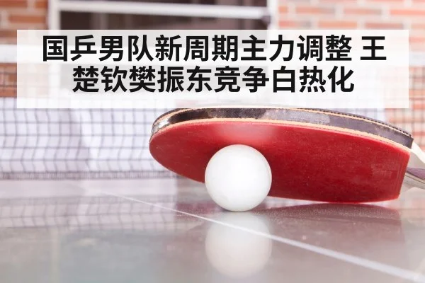 国乒男队新周期主力调整 王楚钦樊振东竞争白热化
