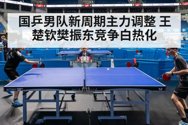 table tennis competition